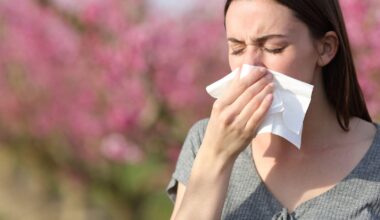 Home hacks for a sneeze-free space – The Irish News