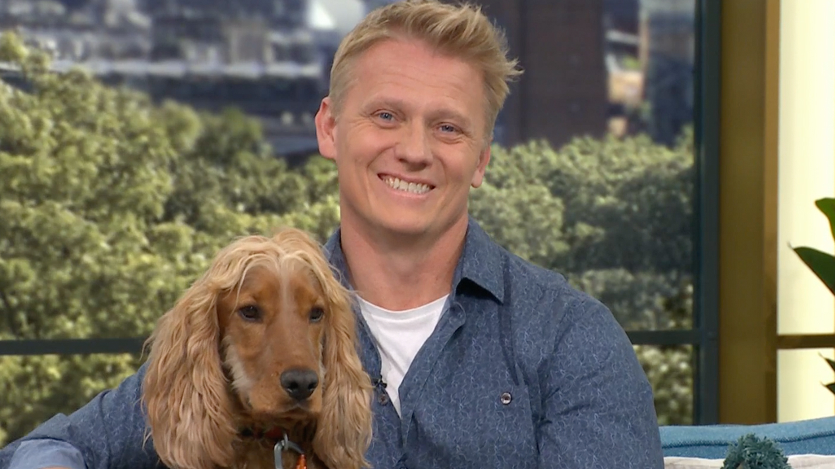 Logo of This Morning