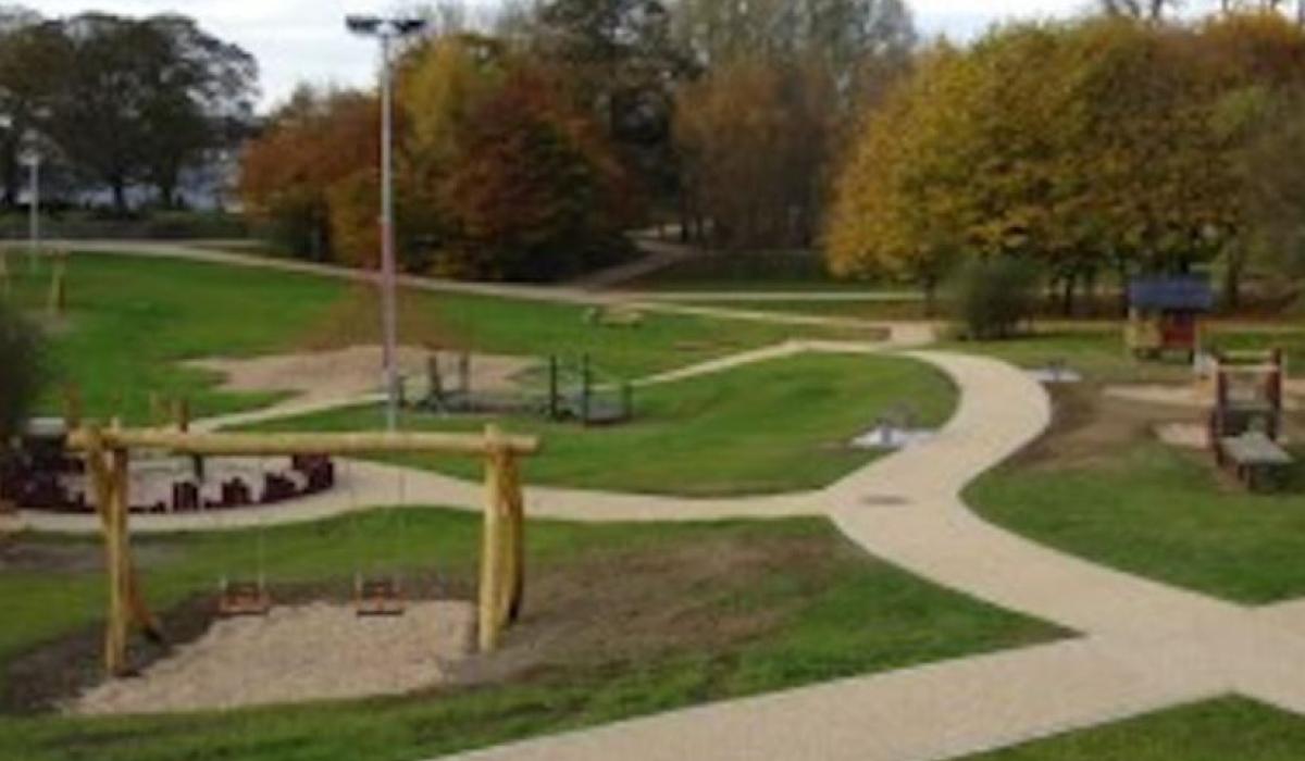 The beauty of nature: Large attendance at biodiversity walk in popular Offaly park