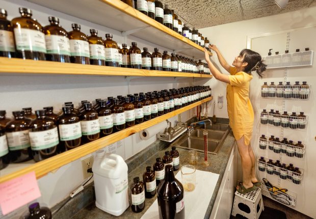 Clinical herbalist Hao Le finds the herbal extracts needed before mixing a healing tincture at Farmacopia, an herbal apothecary Friday, March 20, 2026 in Santa Rosa. (John Burgess/The Press Democrat)