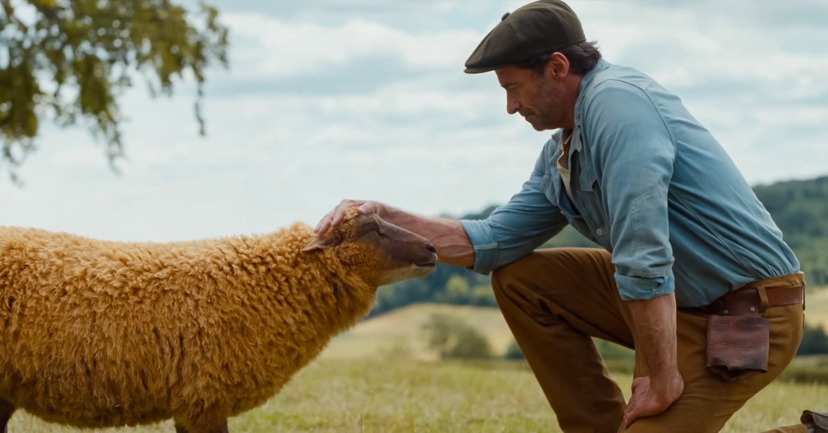 Hugh Jackman Fronts Bizarre New Film 'The Sheep Detectives'