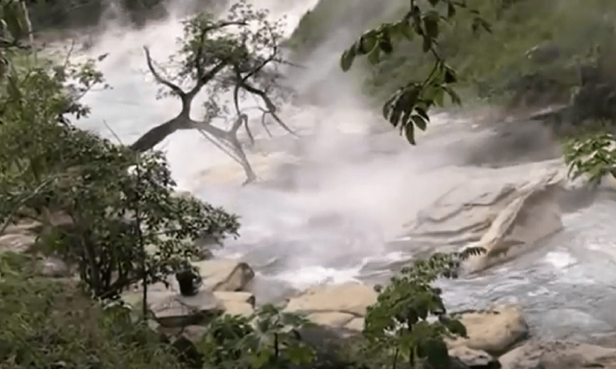 “The first thing to go are the eyes. Eyes, apparently, cook very quickly. Flesh follows soon after, and as the animal becomes overwhelmed, water enters its mouth."