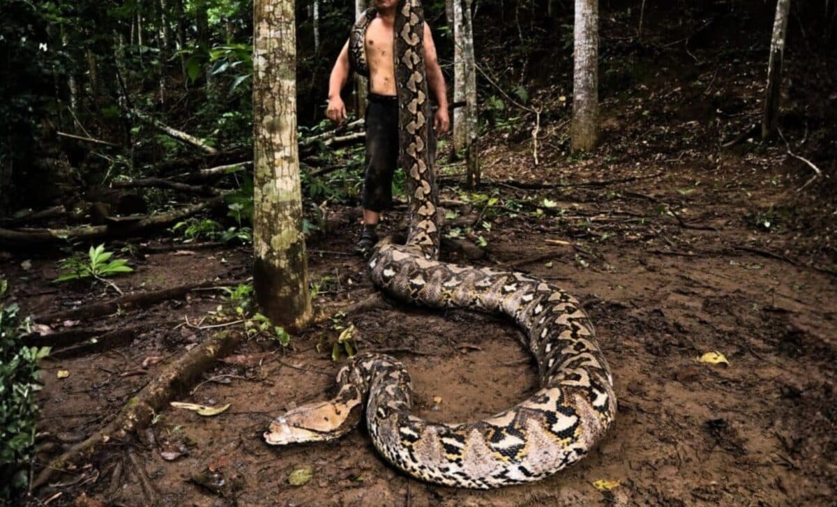 The Giant Snake Was Too Big To Ignore