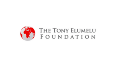 Tolu Elumelu Foundation