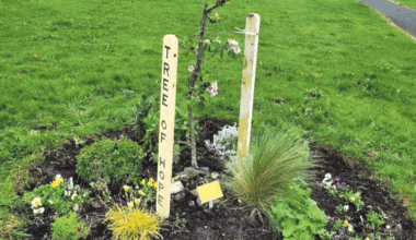 James Roulston Mooney