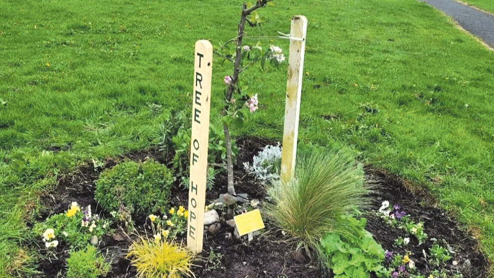 James Roulston Mooney