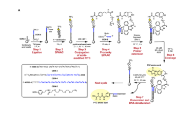 Tricorder Tech: Protein Sequencing Advance Offers New Insights Into Life’s Foundations