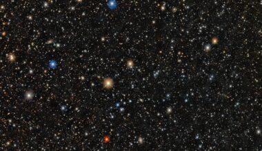 A glistening field of stars against a black background.