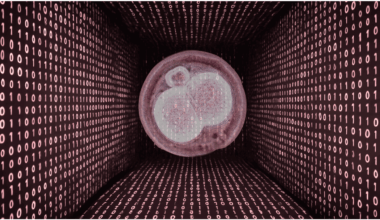 My Unlikely Existence - Longreads