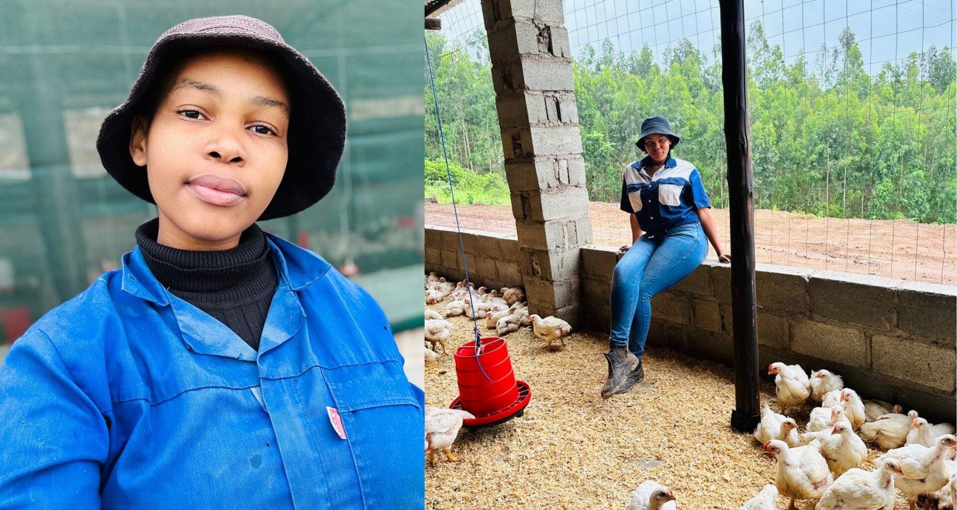Bongeka’s backyard business grows from 100 to 3000 broilers