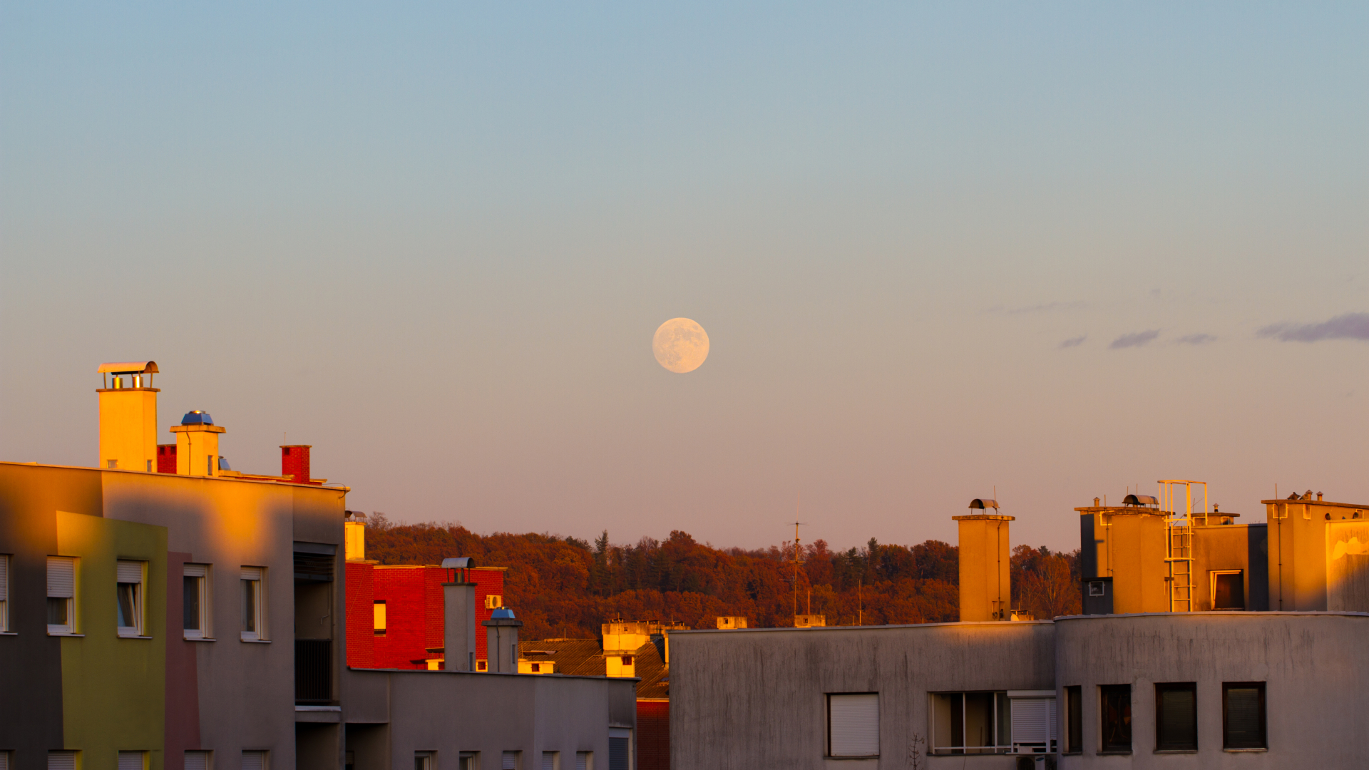 A near full moon is pictured rising in the evening sky above the rooftops of buildings, with trees framing the horizon in the distance.