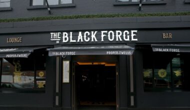 Man spared jail over ‘ferocious’ and ‘unprovoked’ assault outside Conor McGregor’s pub – The Irish Times