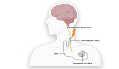 Review Maps Today’s Science, Points to Tomorrow’s Therapies