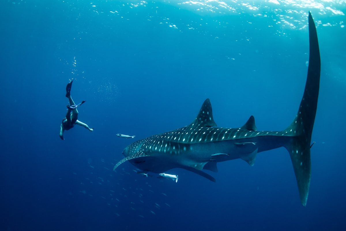 Volunteer takes a Photo ID in Madagascar