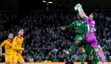 Six-year-old fan at Aviva sums up the eternal mystery – The Irish Times