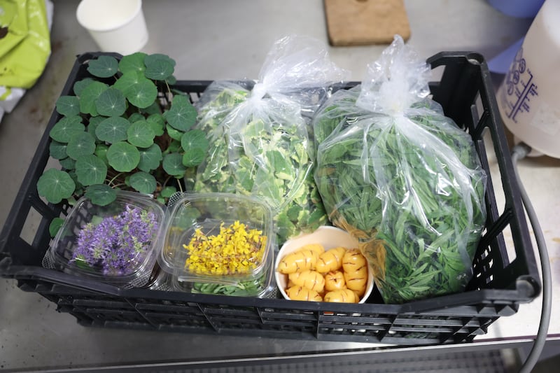 A delivery ready for Chapter One. Photograph: Enda O'Dowd