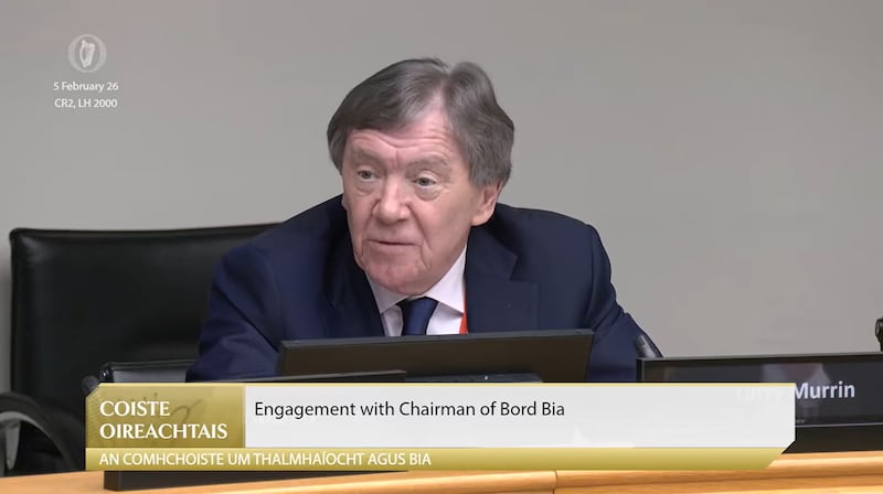 Bord Bia chairman Larry Murrin appearing before the Oireachtas agriculture committee in February. Photograph: Oireachtas TV/PA Wire