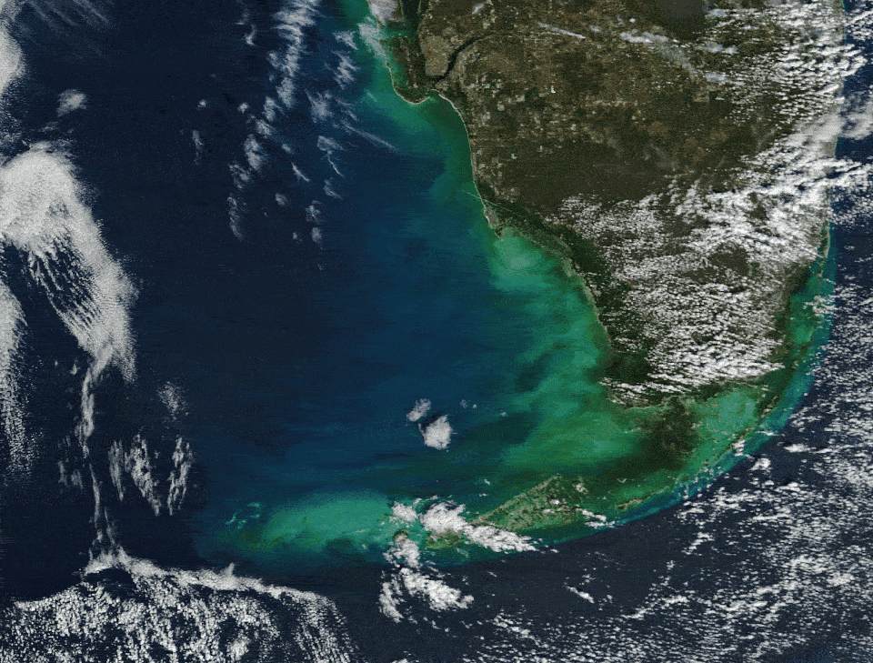 GIF showing before and after the plume appeared along the Florida coast