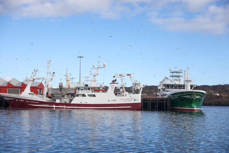 Killybegs once had a thriving daily fishing community but now the majority of fishing quotas go to a small collection of large vessels that only fish for a few days a year. Photograph: Enda O'Dowd