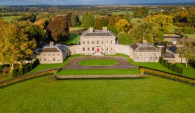 English and Irish decorative arts in carefully curated Palladian house collection – The Irish Times