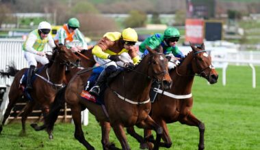 Four Irish jockeys suspended as tempers fray around controversial starting process – The Irish Times