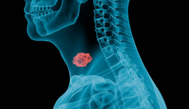 a-chosen-soul-DIFqU-oBCg4-unsplash