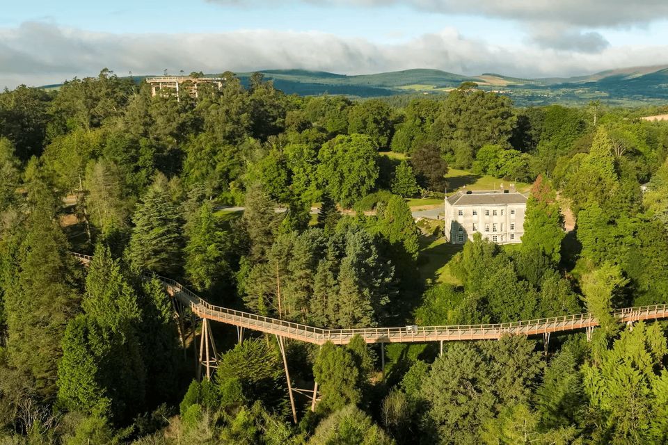 Beyond the Trees at Avondale Forest Park.