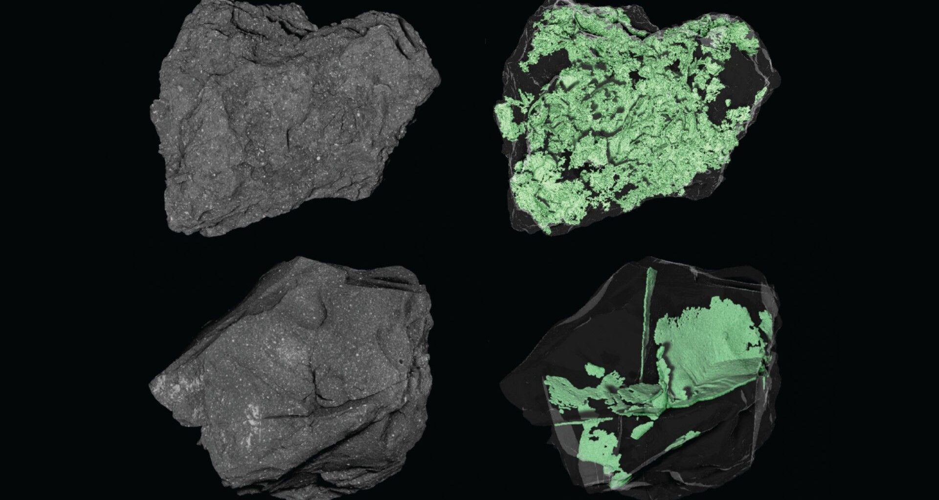 NASA peers inside an asteroid photo of the day for March 19, 2026