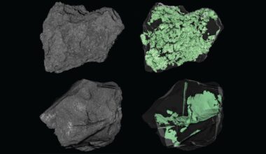 NASA peers inside an asteroid photo of the day for March 19, 2026