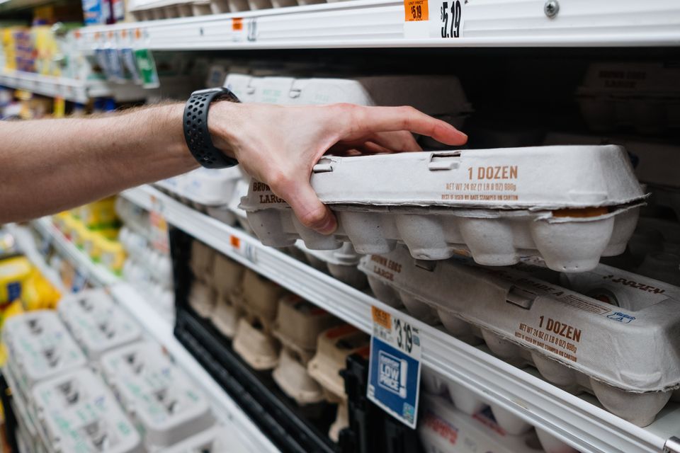 The IFA warns of potential egg rationing as producers struggle with a 20% spike in feed costs and "unsustainable" farmgate prices, despite a 10% rise in national production reported earlier this month