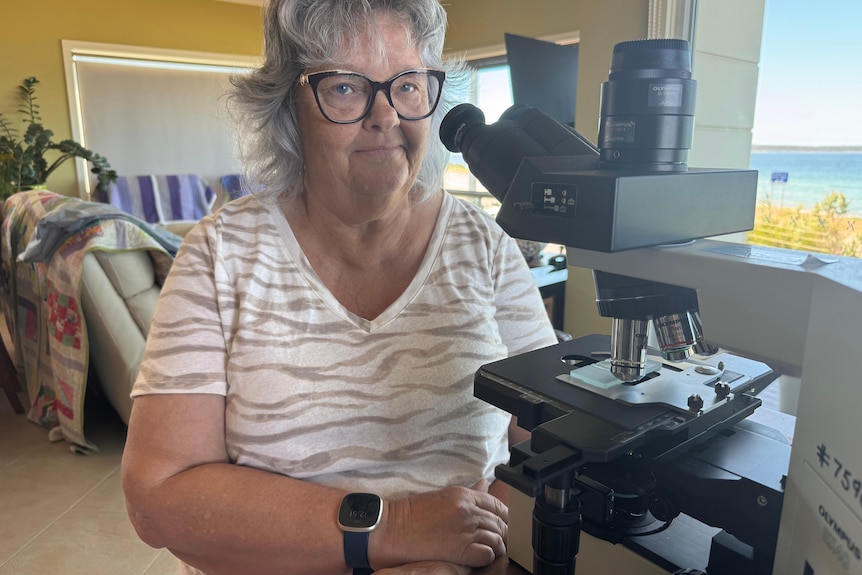 A grey-haired woman wearing glasses sits at a microscope in her home.