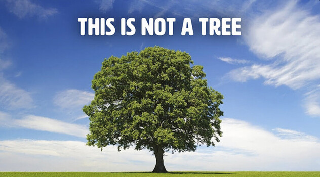 Stop Looking and Start Seeing