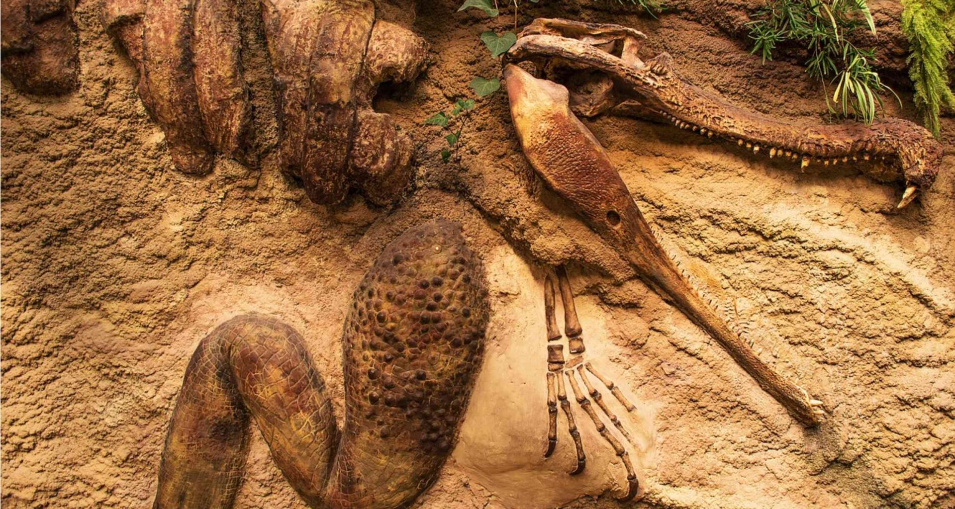 Tooth enamel emerges as key archive of ancient biomolecules