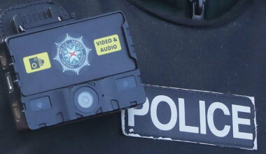 Appeal after man and dog attacked in Bangor