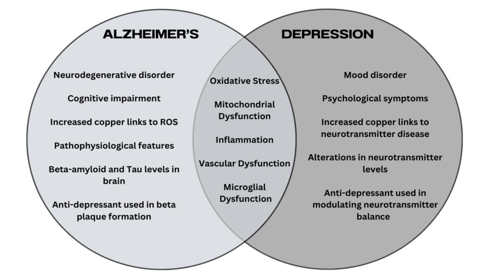 The Crossroads of Neurodegeneration: Exploring the Overlap Between Alzheimer's Disease and Depression
