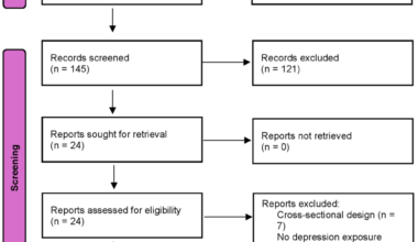 Depression as a Risk Factor for Dementia and Cognitive Decline in Type 2 Diabetes Mellitus: A Systematic Review of Longitudinal Studies