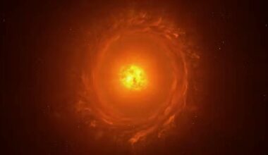Biggest stars in the universe: Bright center in yellow with reddish debris in a disk around it, seen face on.
