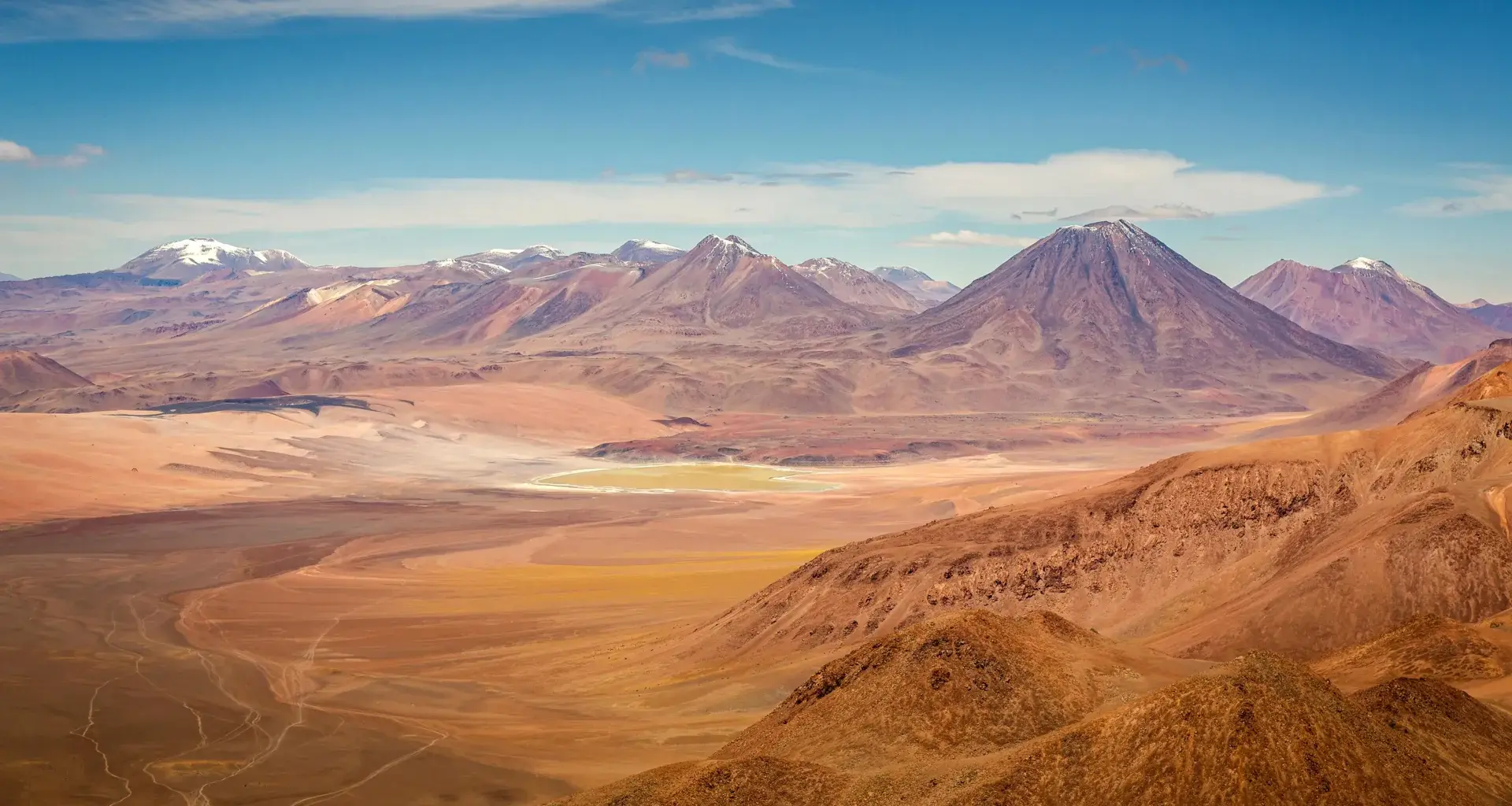 Atacama surprise: The world’s driest desert is teeming with hidden life