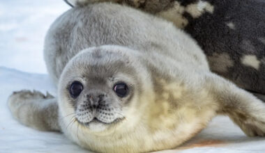 Yahoo lifestyle home