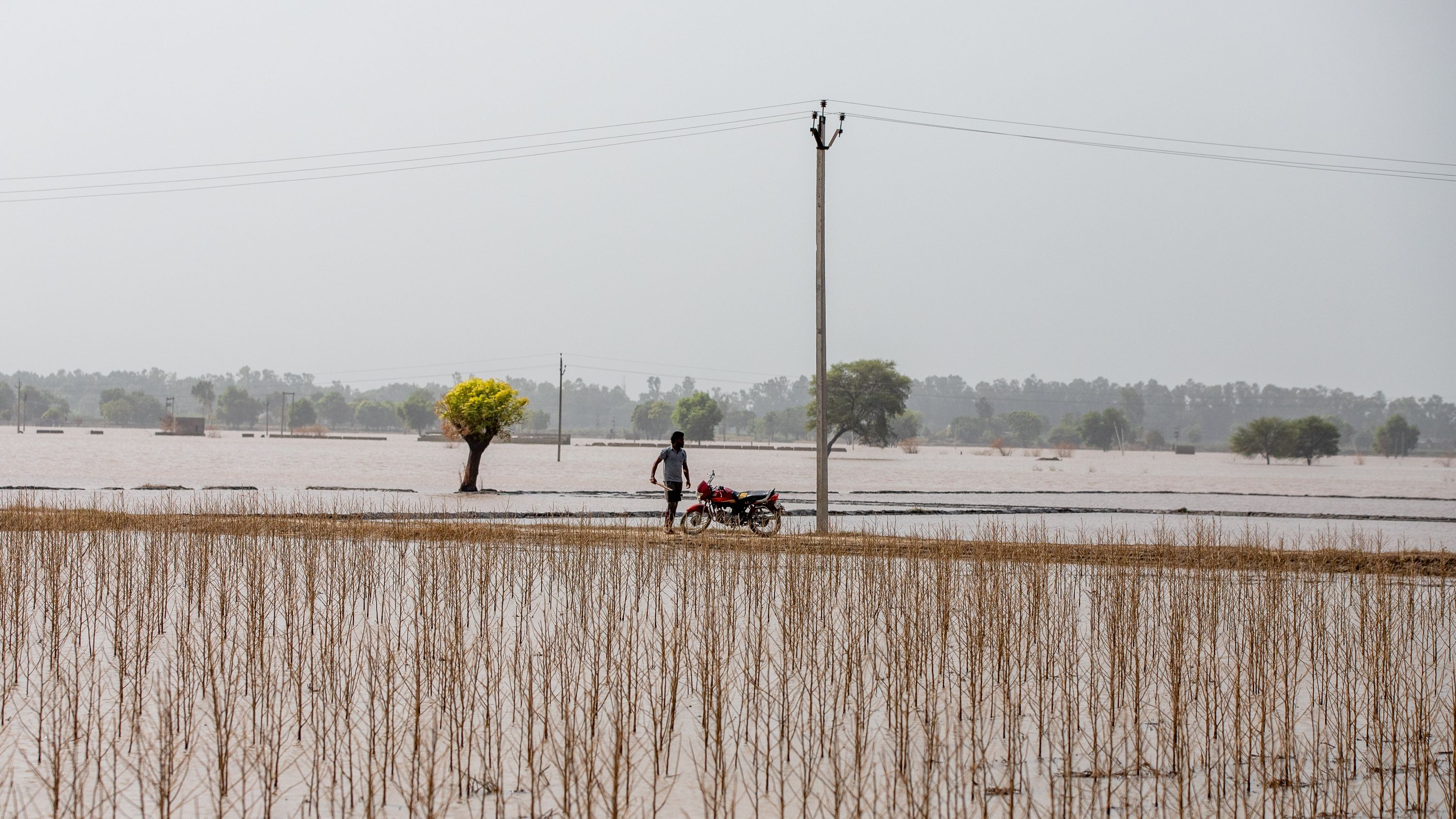 a man pushing a cart across a flooded field in India
