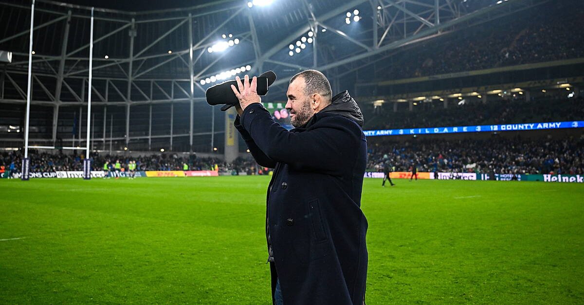 Barnes Wants England To Appoint Ex-Leinster Man For Rugby World Cup