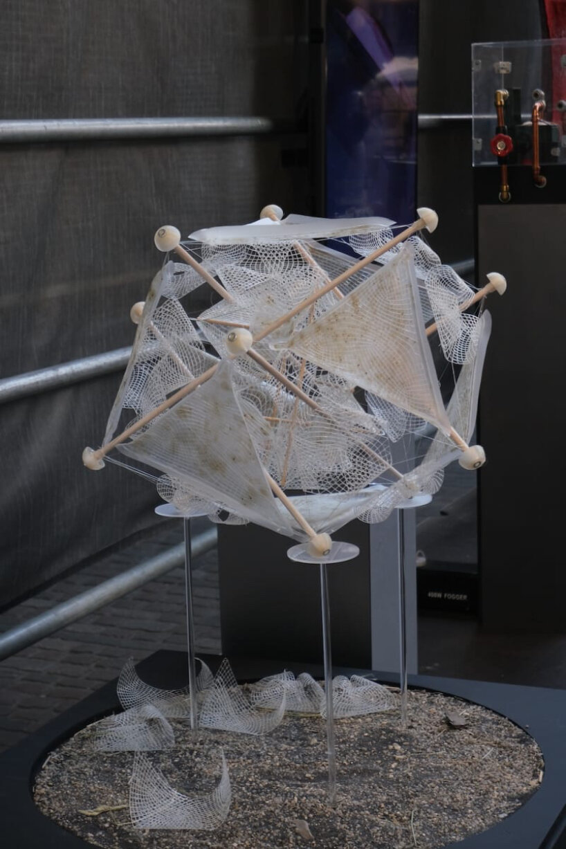 wasteland nomad yizhuo guo