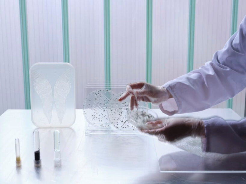 view of PHA 3D printing-biodegradable skin