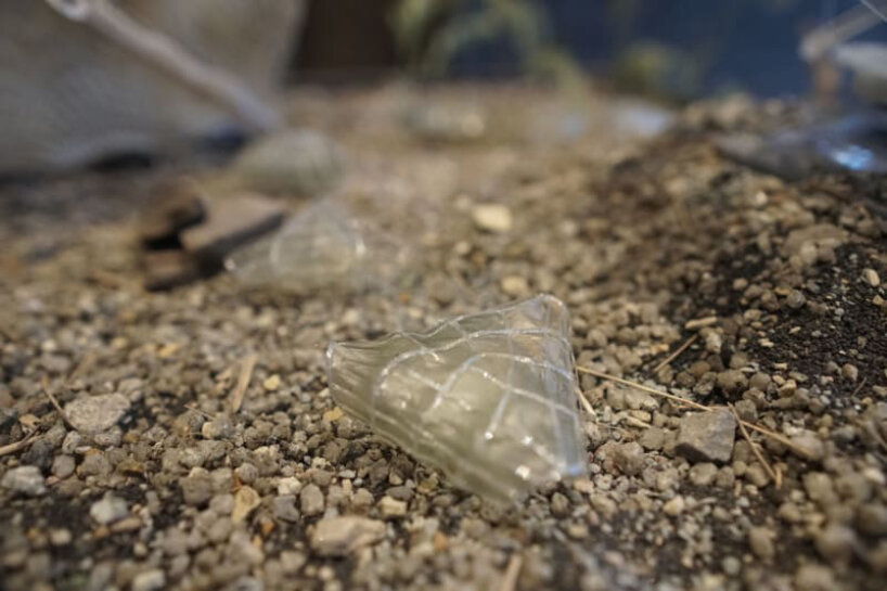 the project is made from biodegradable materials