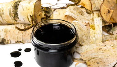 Neanderthals seem to have used birch tar to heal wounds