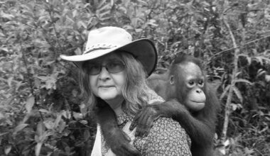 Birutė Galdikas, primatologist who spent a lifetime studying & defending orangutans, has died at 79