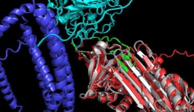 Blood Protein Structure Test May Detect Alzheimer’s Earlier
