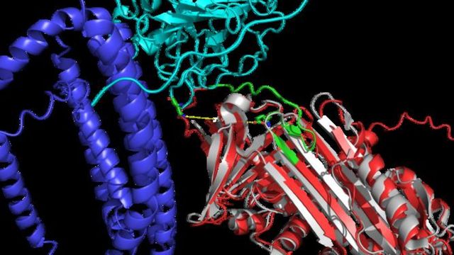 Blood Protein Structure Test May Detect Alzheimer’s Earlier