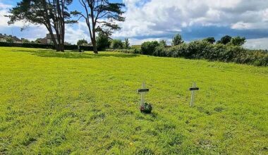 Call for HSE to name 50,000 patients in unmarked graves at former asylums