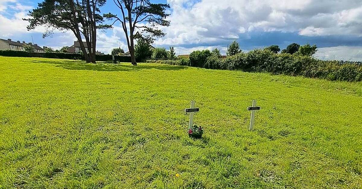 Call for HSE to name 50,000 patients in unmarked graves at former asylums